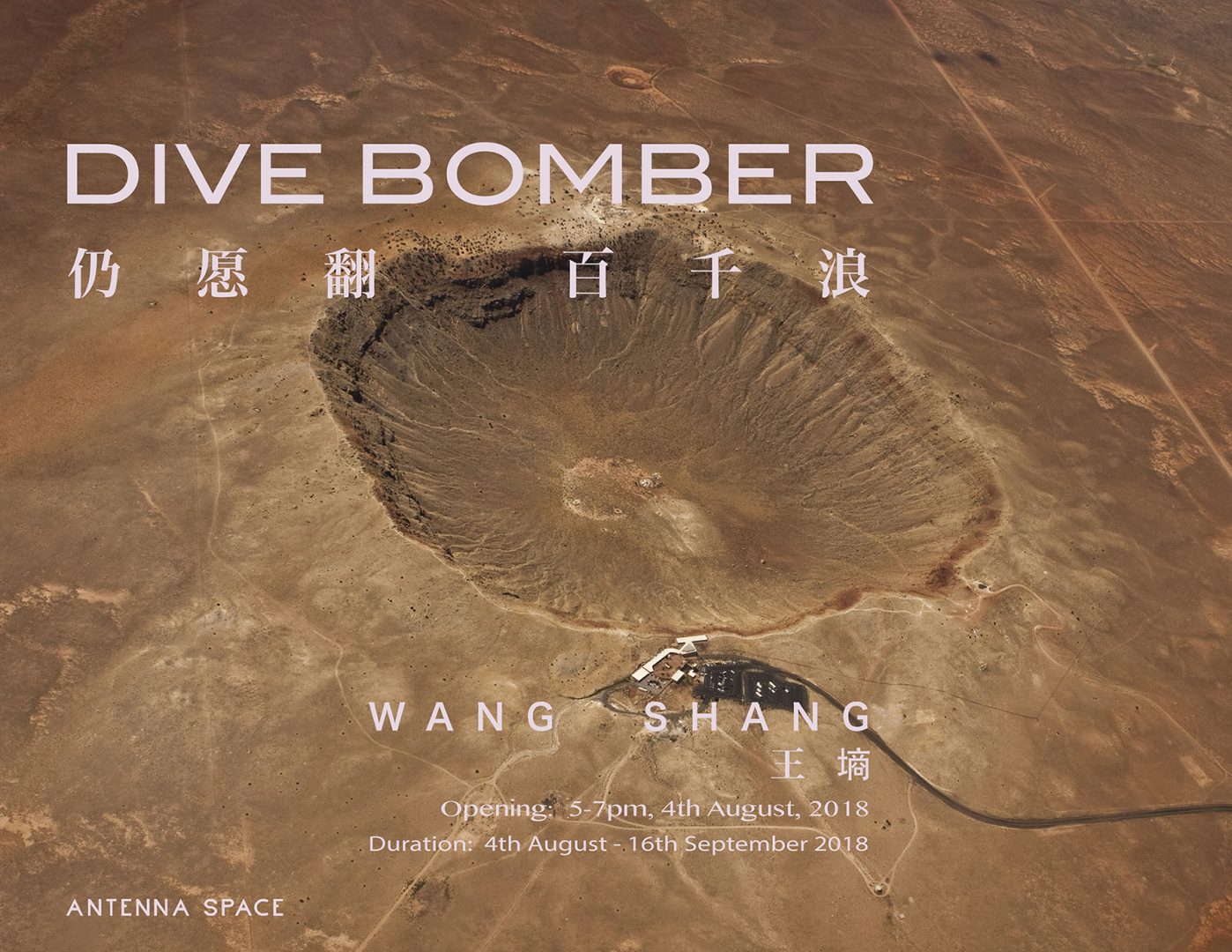 Wang Shang：Dive Bomber