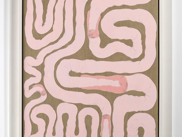 Julian Hoeber, Intestinal Floorplan/Security Apparatus, 2015