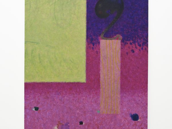 Zhou Siwei, Collector (40 years old), 2021
