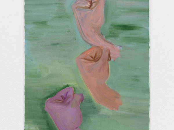 Xinyi Cheng, Resolutions, 2020