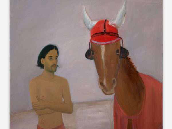 Xinyi Cheng, The Horse Wearing a Red Ear Bonnet and Eye Blinders, 2020