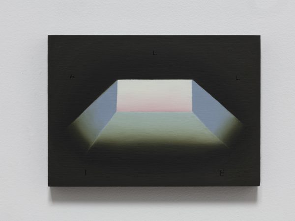 亚历桑德拉·诺艾尔参加“前沿国际 - 克利夫兰当代艺术三年展：噢，尘埃与霓虹之神祇”