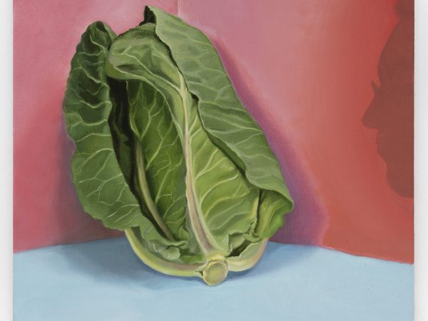 Allison Katz, Cabbage (and Philip) No. 33, 2023