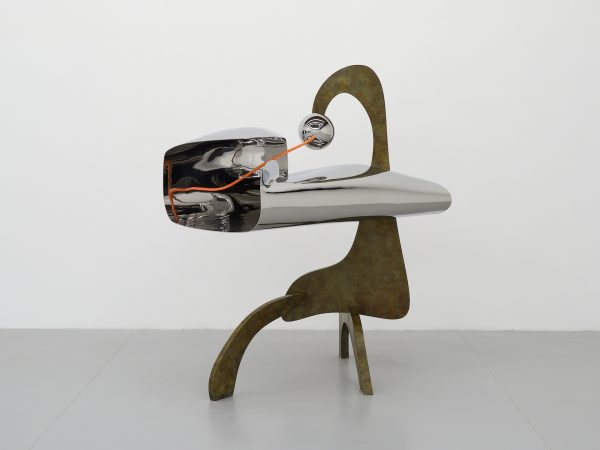Wang Shang, Symbiosis-TK33 "Return the gaze", 2022