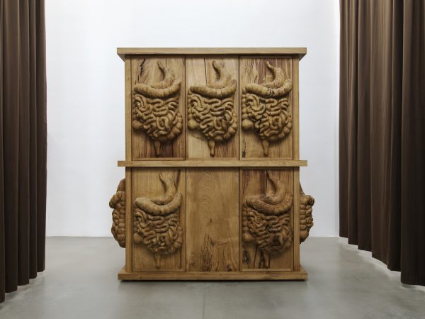 Daniel Dewar & Grégory Gicquel, Oak cabinet with organs, 2017