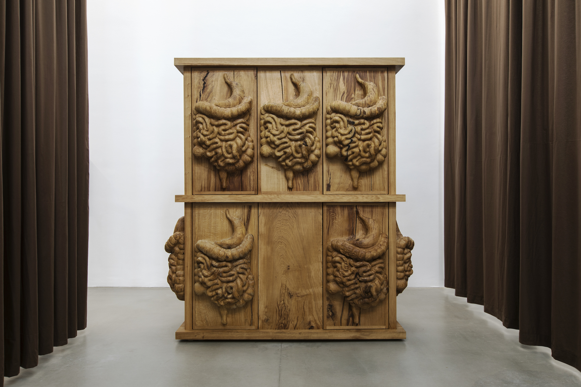丹尼尔·杜瓦 & 格雷戈里·吉奎尔，Oak cabinet with organs，2017