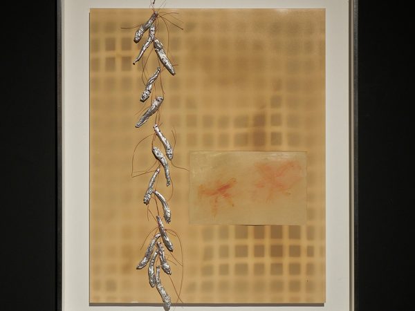 Lotus L. Kang, Mesoderm (Azaleas III), 2024