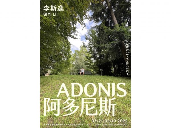 Siyi Li: Adonis