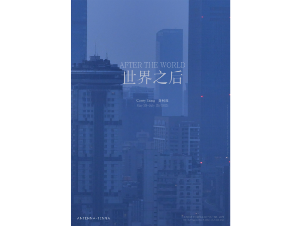 龚柯维：世界之后