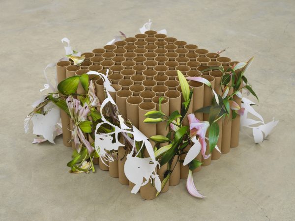 Siyi Li, Untitled (crying lilies), 2024