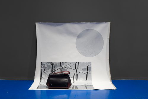Evelyn Taocheng Wang, Excluded Winter (with and without Santa Claus), 2017