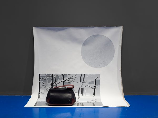 Evelyn Taocheng Wang, Excluded Winter (with and without Santa Claus), 2017