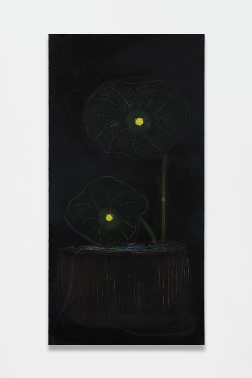Owen Fu, Upon the Night Lotus, 2024