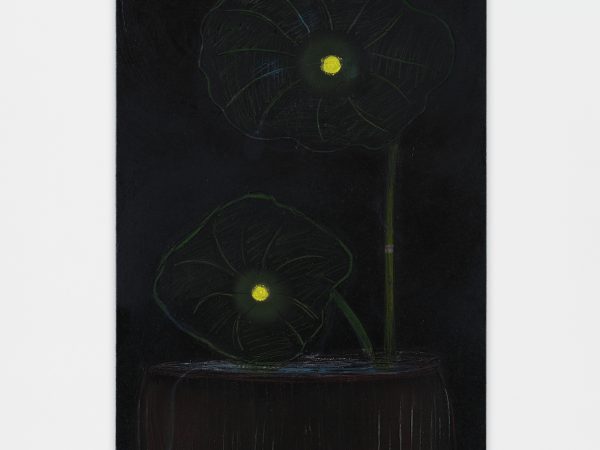 傅强，Upon the Night Lotus，2024