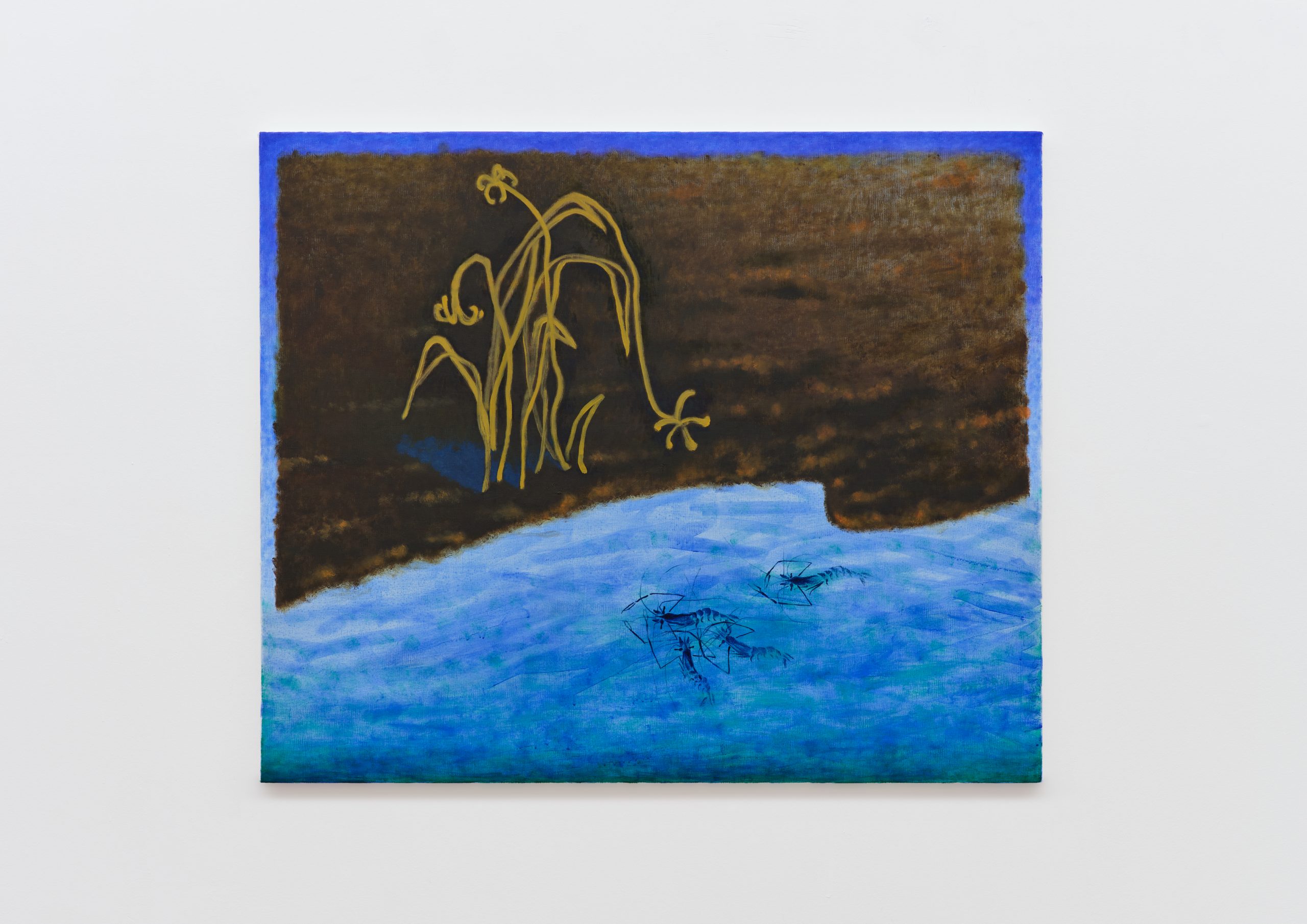 Zhou Siwei, Shore (Narcissistic, Shrimp), 2025