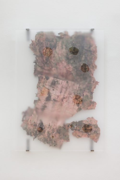 桑德拉·穆金加，Slow Water 2，2023