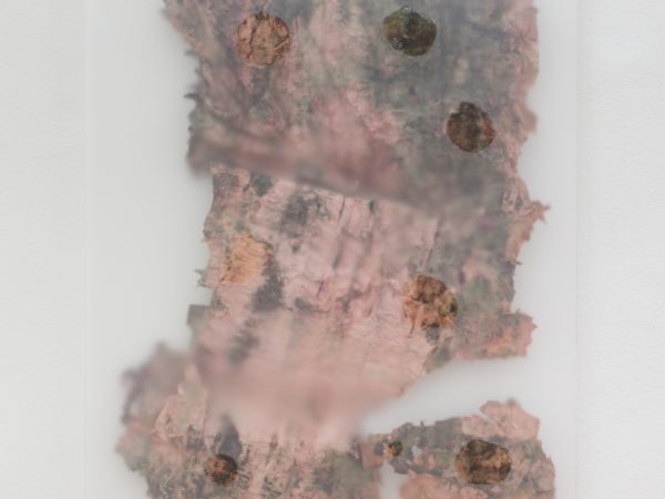 桑德拉·穆金加，Slow Water 2，2023
