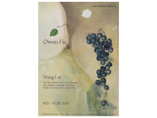 Owen Fu：独与天地往来（Wang Lai）