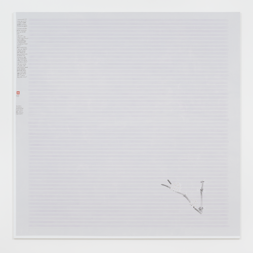 Evelyn Taocheng Wang, Blossom of Coffee Arabica and Imitation of Agnes Martin, 2023