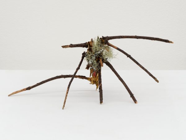 Leidy Churchman, Music And Swimming, 2025