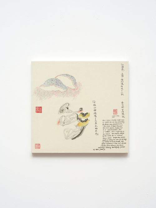 Evelyn Taocheng Wang, Quote on The Dream of Red Chamber, 2025