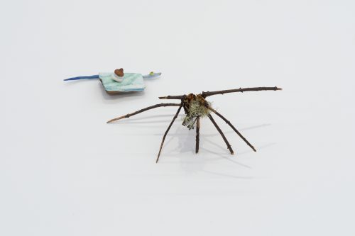 莱迪·邱奇曼，音乐与游泳，2025