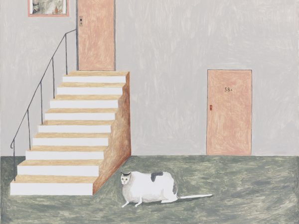 Noel McKenna, Augustus, Pet, 2023