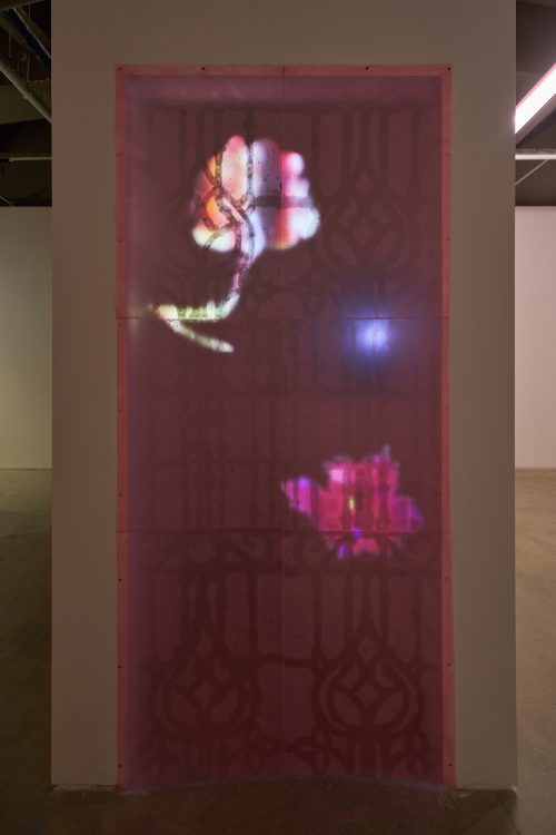 谭婧，窗扉（惊梦），2025