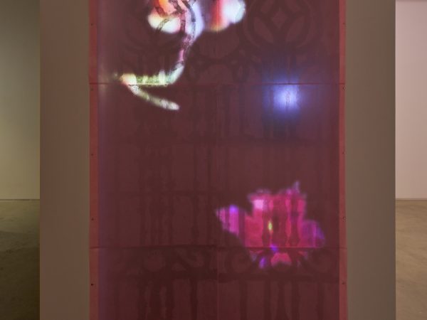 Tan Jing, Veiled Leaf (A Dream Interrupted), 2025