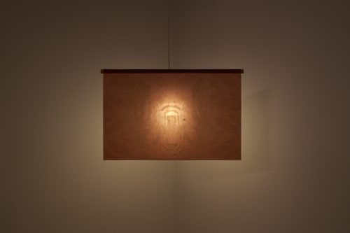 谭婧，窗扉（影影绰绰），2025