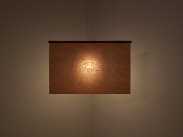 Tan Jing, Veiled Leaf (Obscurity), 2025