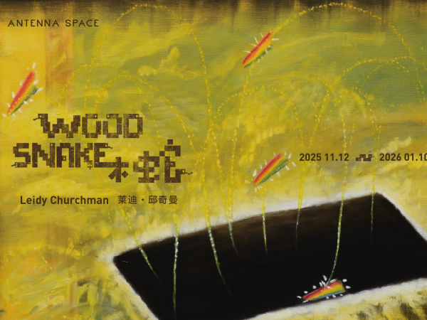 Leidy Churchman: Wood Snake