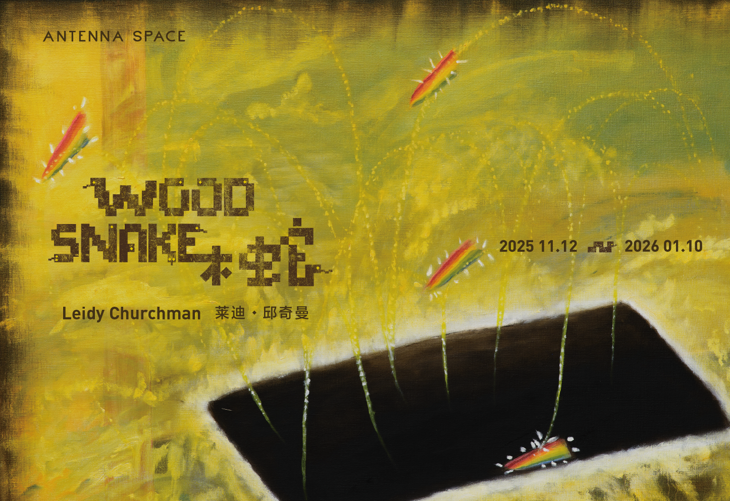 莱迪·邱奇曼：木蛇