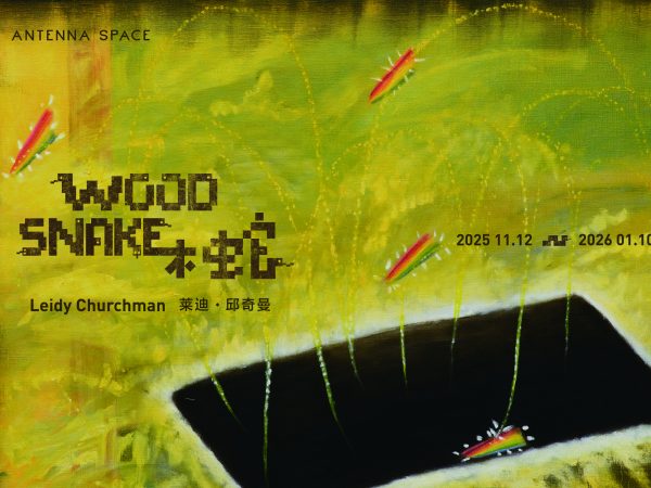 莱迪·邱奇曼：木蛇