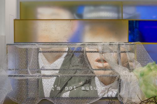 李爽，I'm Not，2024