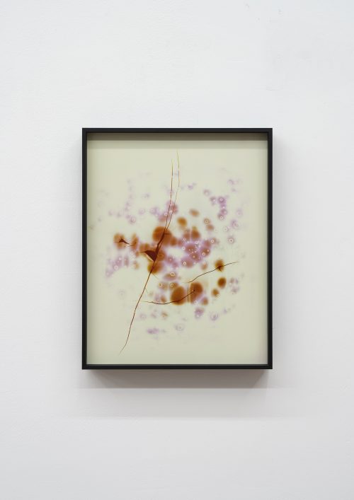 彭祖强，无题（二次损毁），2025