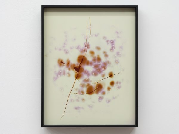 Peng Zuqiang, Untitled (Second Press), 2025