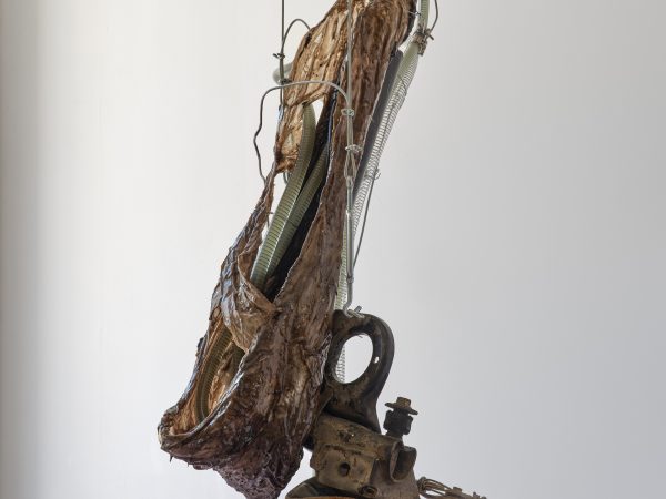 Mire Lee, Openings: Wusong River, 2026