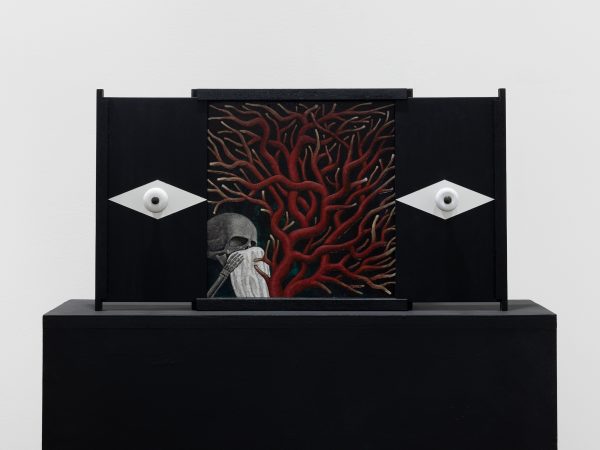 李泳翔，Ruysch's Cry Baby Under a Commonly Concealed Circulation #2，2026