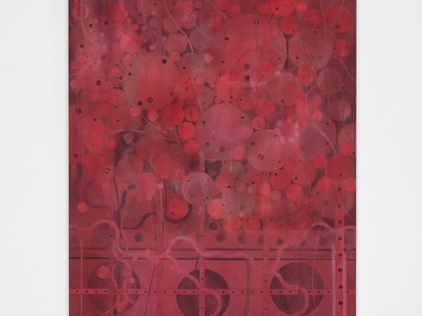 纪尧姆·德内尔沃，(LAB B - 30 km north - 3 weeks later) - Deviation identified - Documented - Inform primary site - They already know，2026