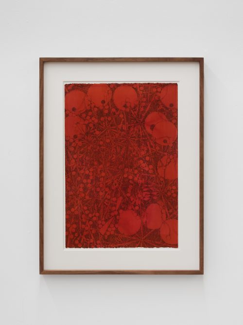 Guillaume Dénervaud, (LAB A - Headquarters) - Culture responses observed - Continue, 2026