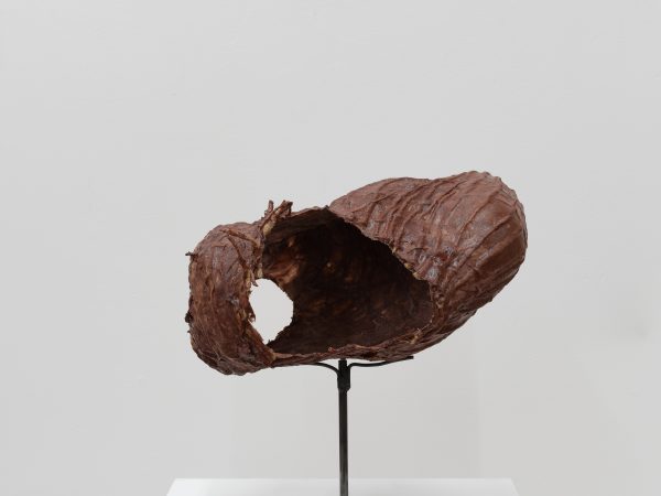 李美来，Untitled #1 (Collage of helper's body)，2025