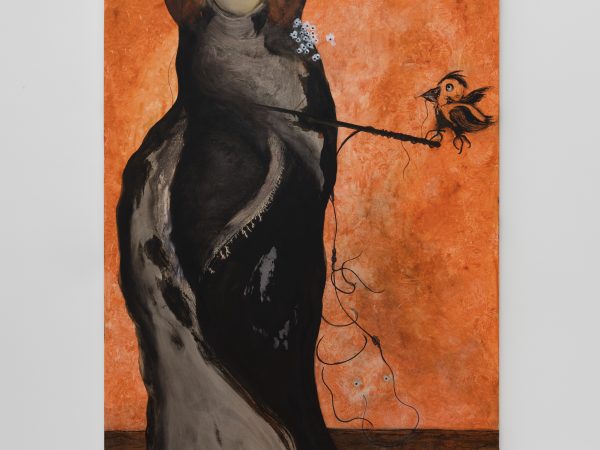 傅强，牵白，2026