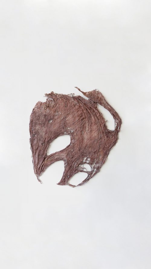Mire Lee, Untitled (Loose skin pieces from Open Wound #1), 2026