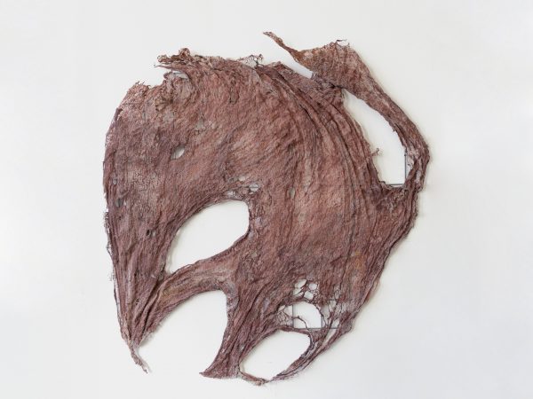 李美来，Untitled (Loose skin pieces from Open Wound #1)，2026