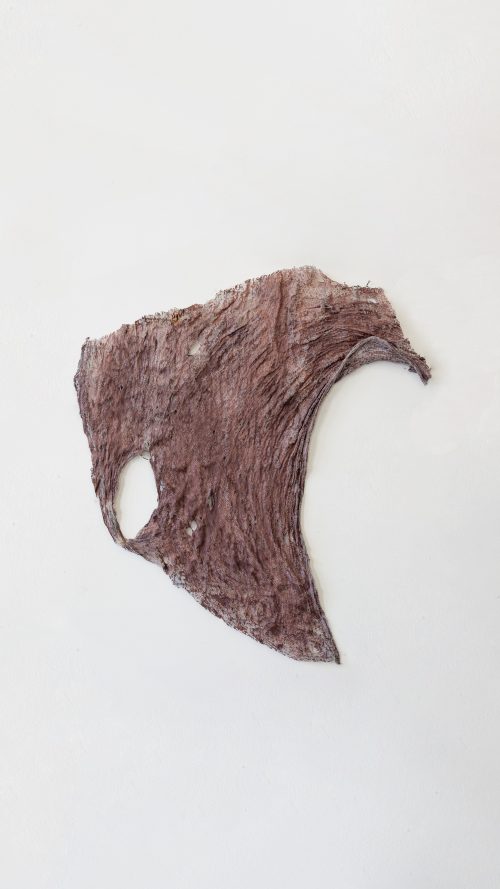 Mire Lee, Untitled (Loose skin pieces from Open Wound #2), 2026