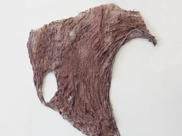 李美来，Untitled (Loose skin pieces from Open Wound #2)，2026