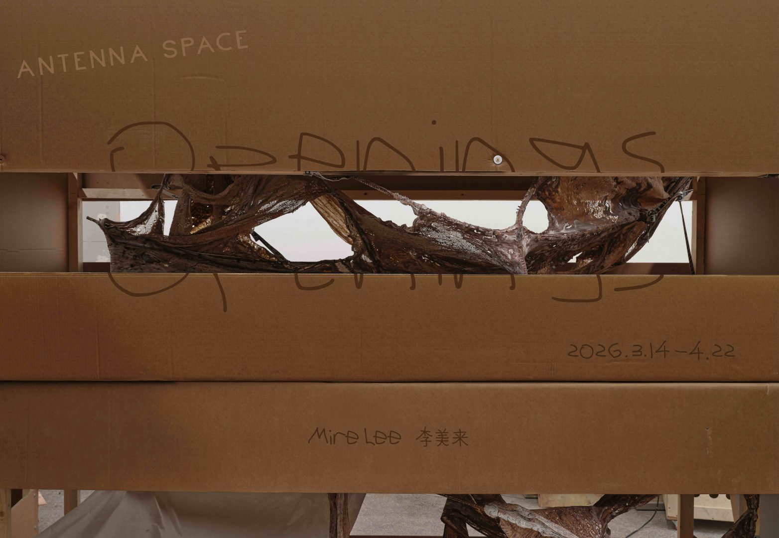 李美来：Openings