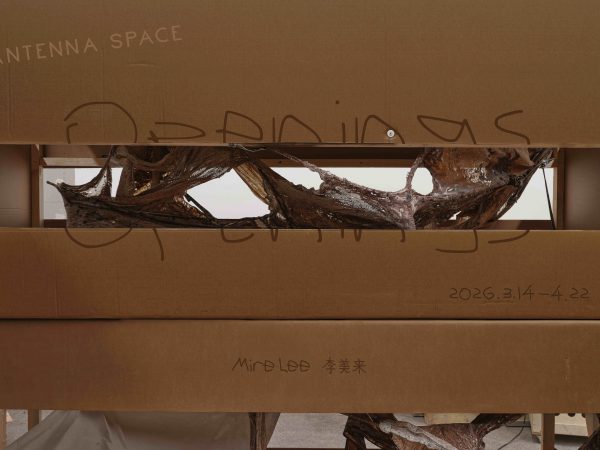 李美来：Openings