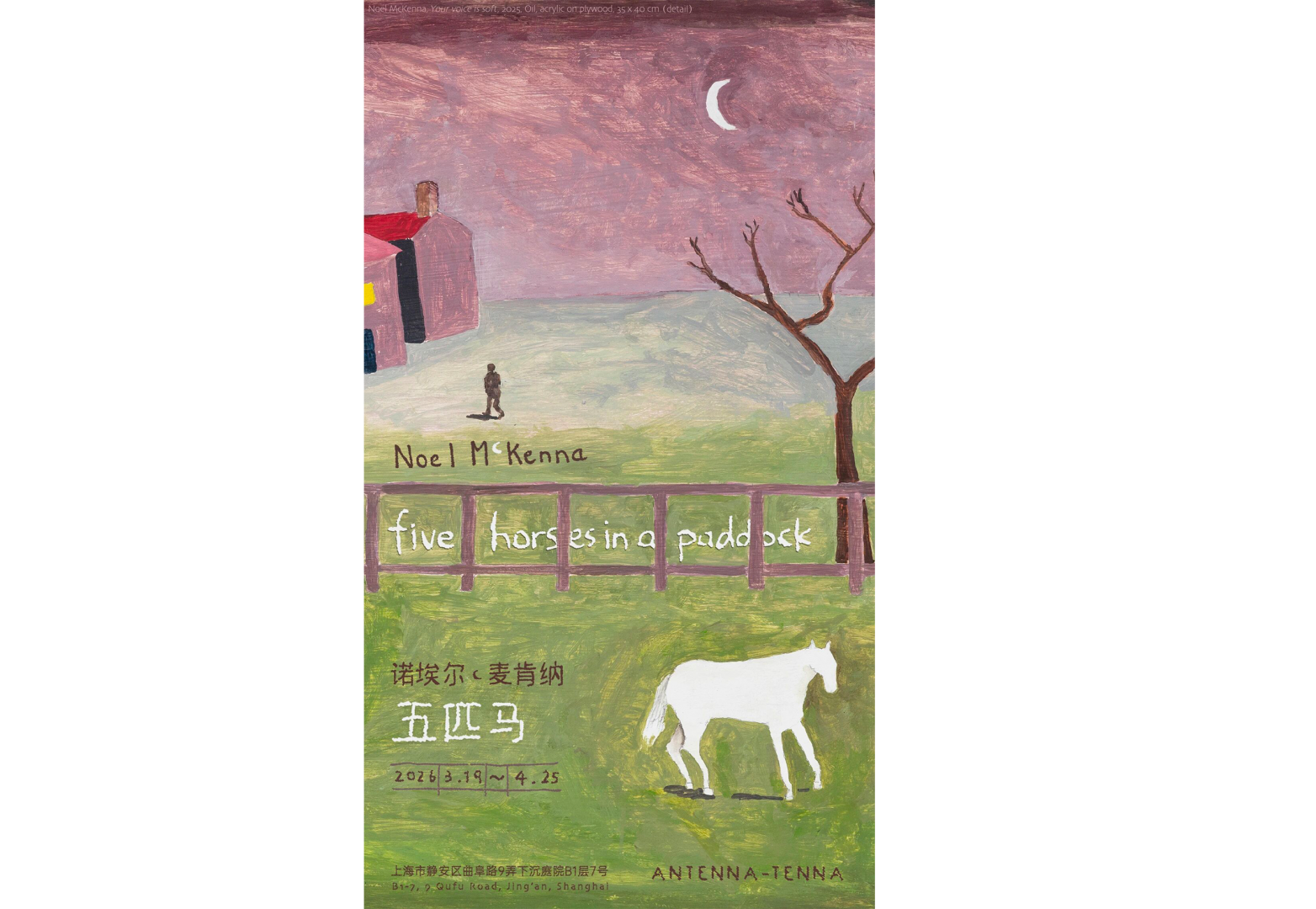 诺埃尔·麦肯纳：五匹马